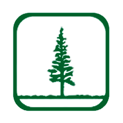 Terrestre