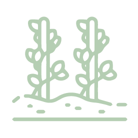 Amenidades